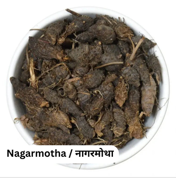 Nagarmotha (नागरमोथा) (250gm)
