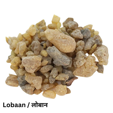 Lobaan (लोबान) (500gm)