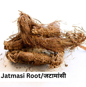 Jatmasi Root(जटामांसी) (500gm)